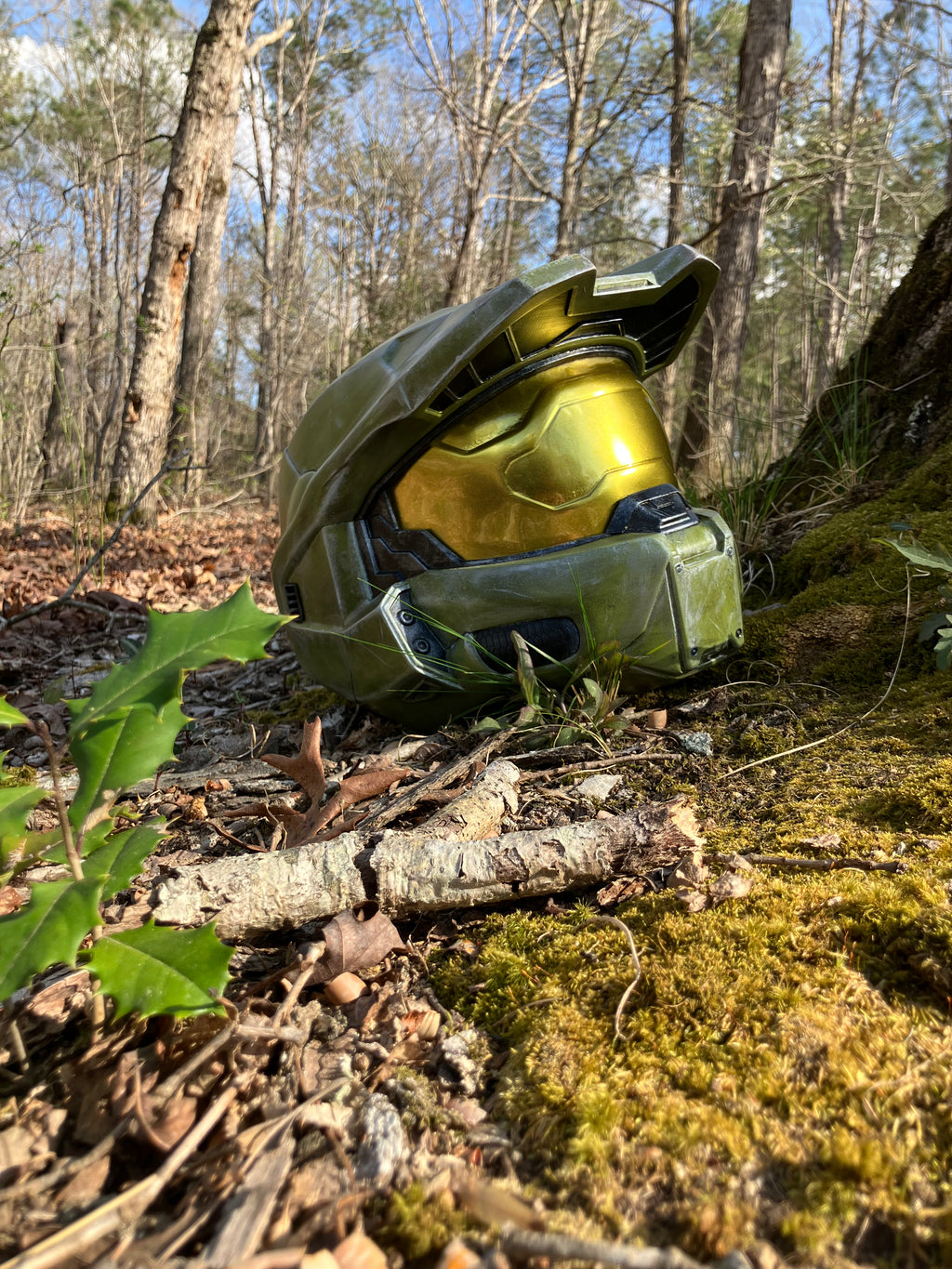 Master Chief