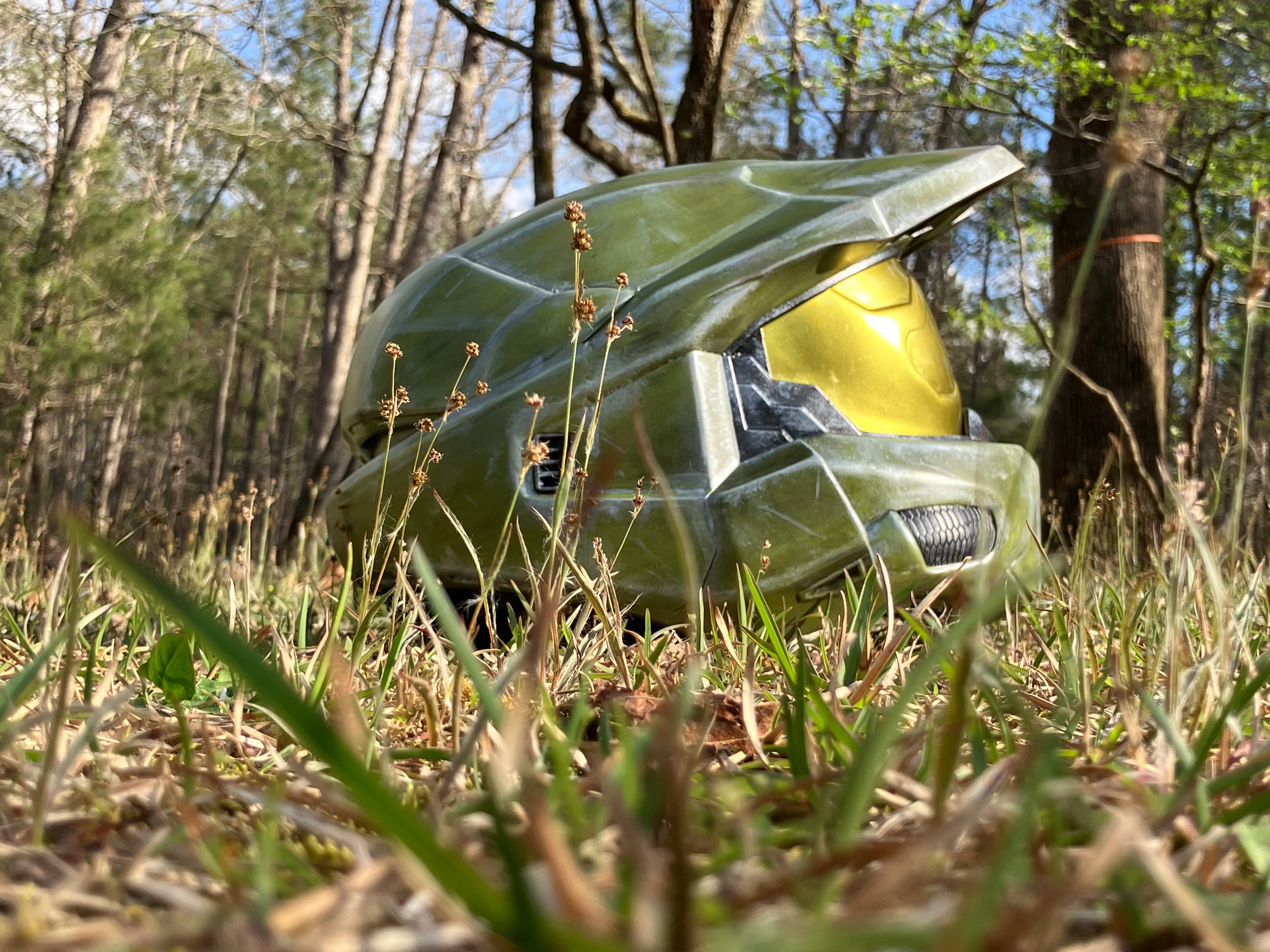 Master Chief