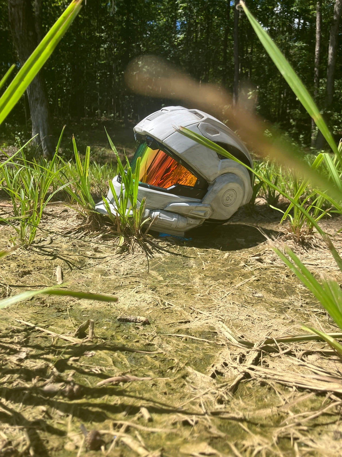 Halo CQC