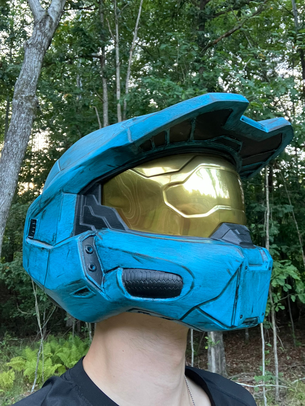 Halo Infinite Chief/RvB Tucker