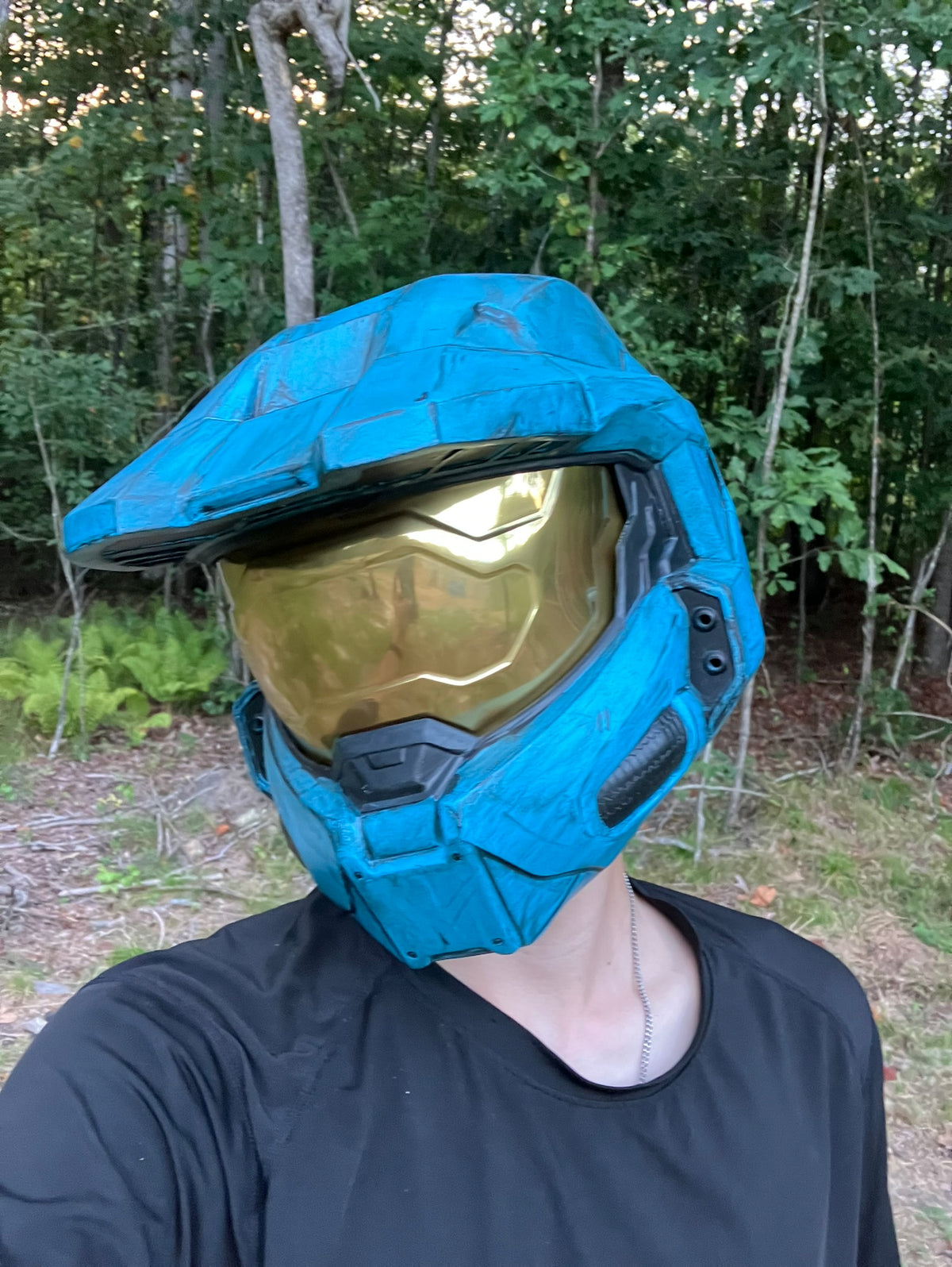 Halo Infinite Chief/RvB Tucker