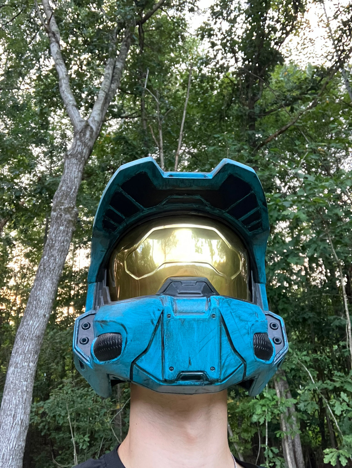 Halo Infinite Chief/RvB Tucker