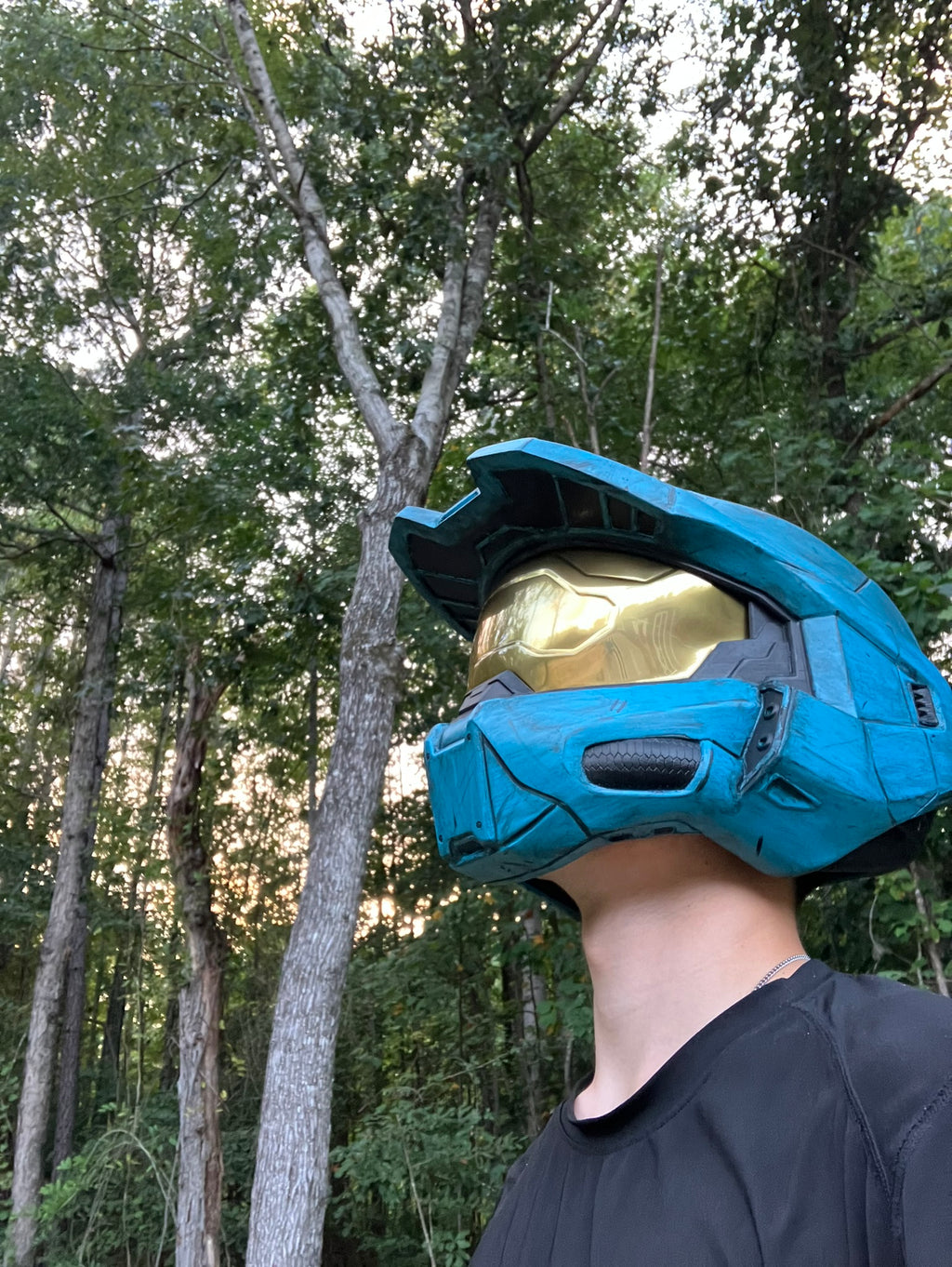 Halo Infinite Chief/RvB Tucker