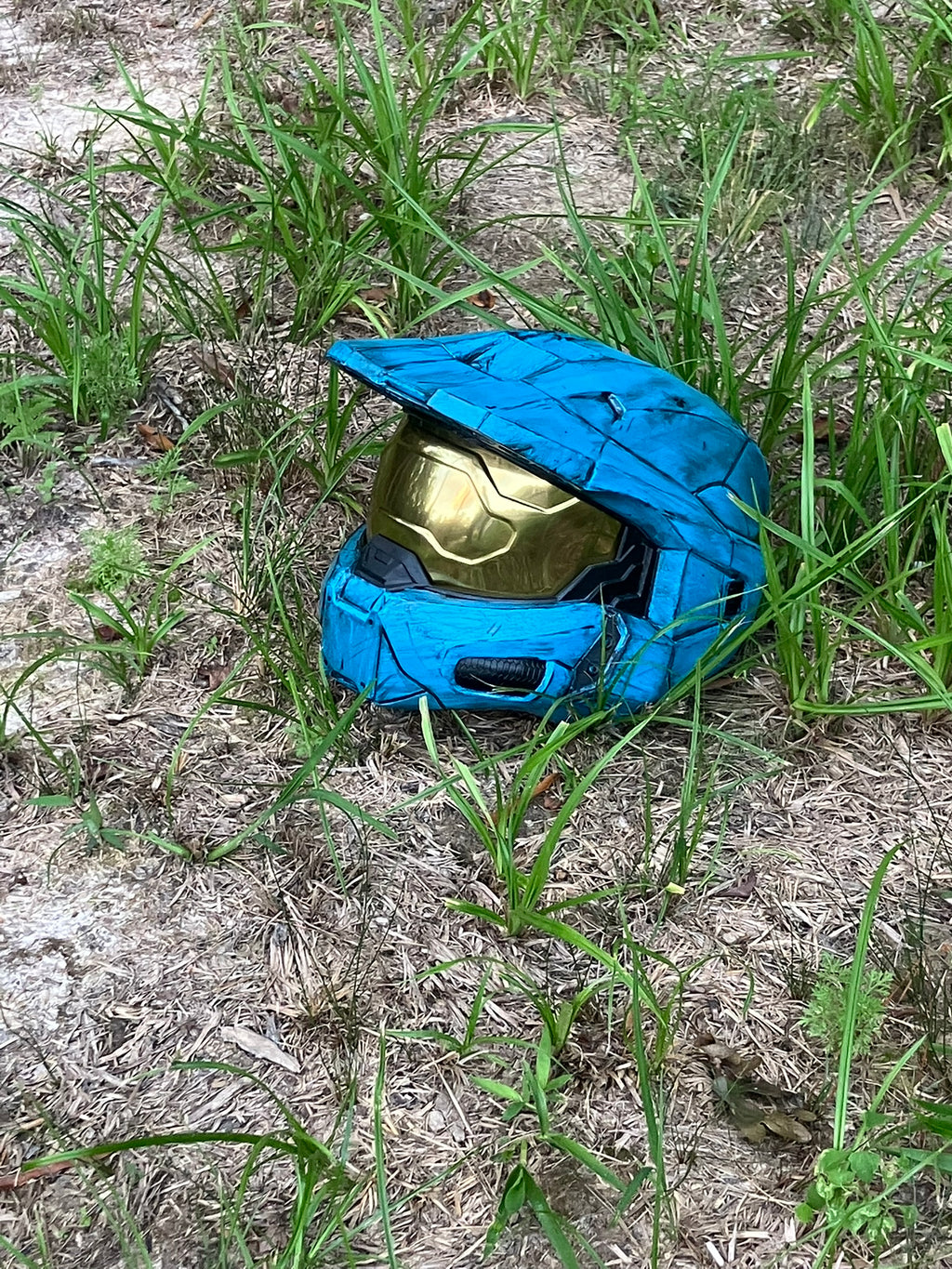 Halo Infinite Chief/RvB Tucker