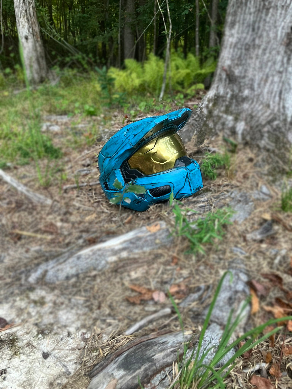 Halo Infinite Chief/RvB Tucker