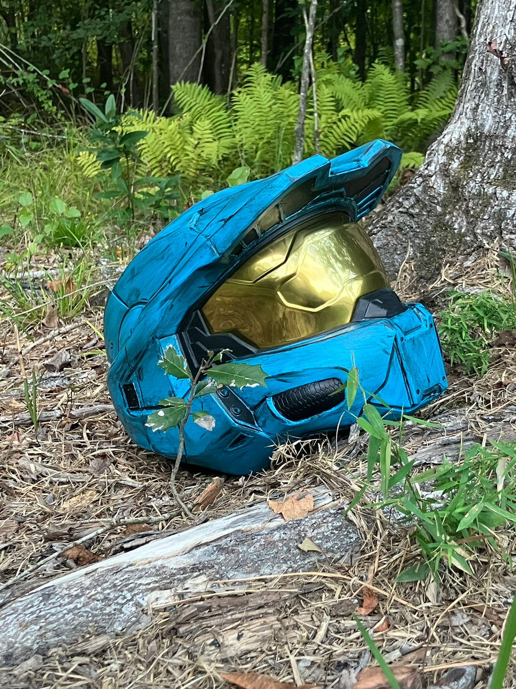 Halo Infinite Chief/RvB Tucker